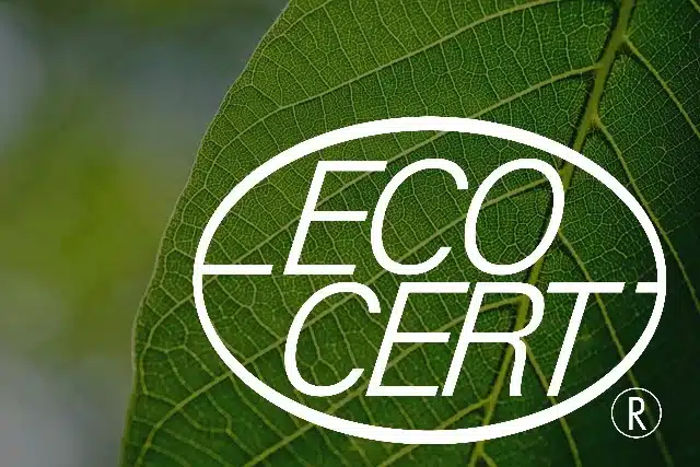 Entreprise de nettoyage éco responsable produits Ecocert