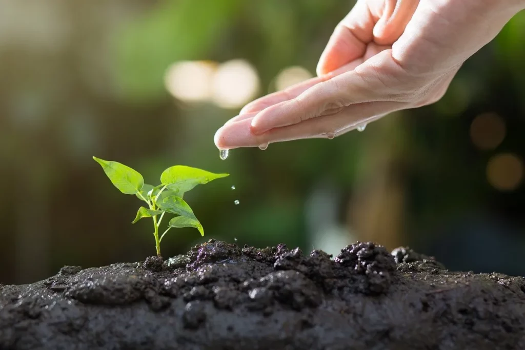 Main qui arrose un plan par BioProClean BPC Entreprise de nettoyage bio et écologique qui soutient la reforestation